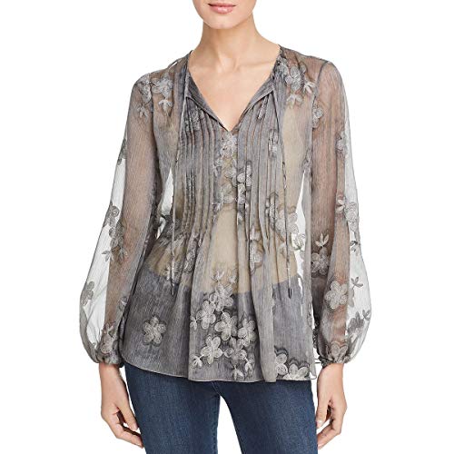 Hallie Embroidered Sheer Chiffon Blouse